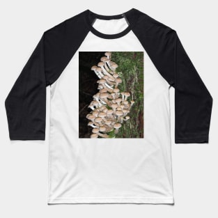 Lots of honey mushrooms (Armillaria sp.) Baseball T-Shirt